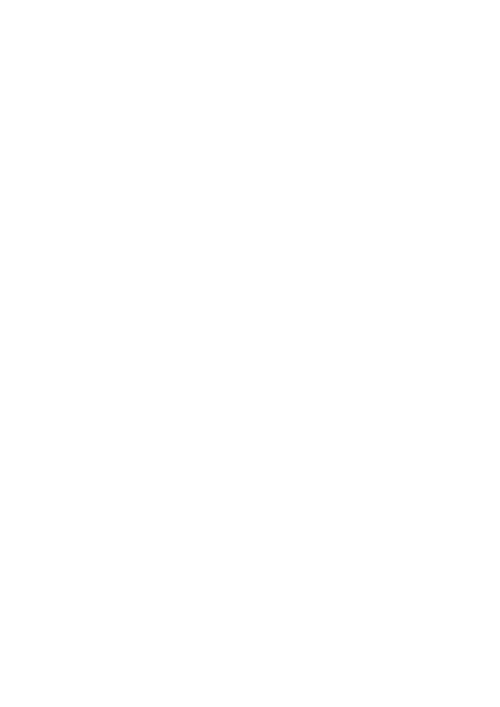 Chaos Collective